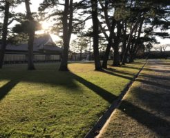 2019年11月函館旅行 五稜郭公園