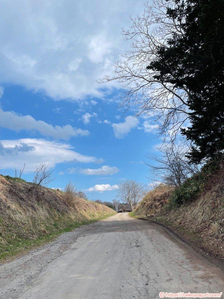 2025年4月北海道・函館旅行