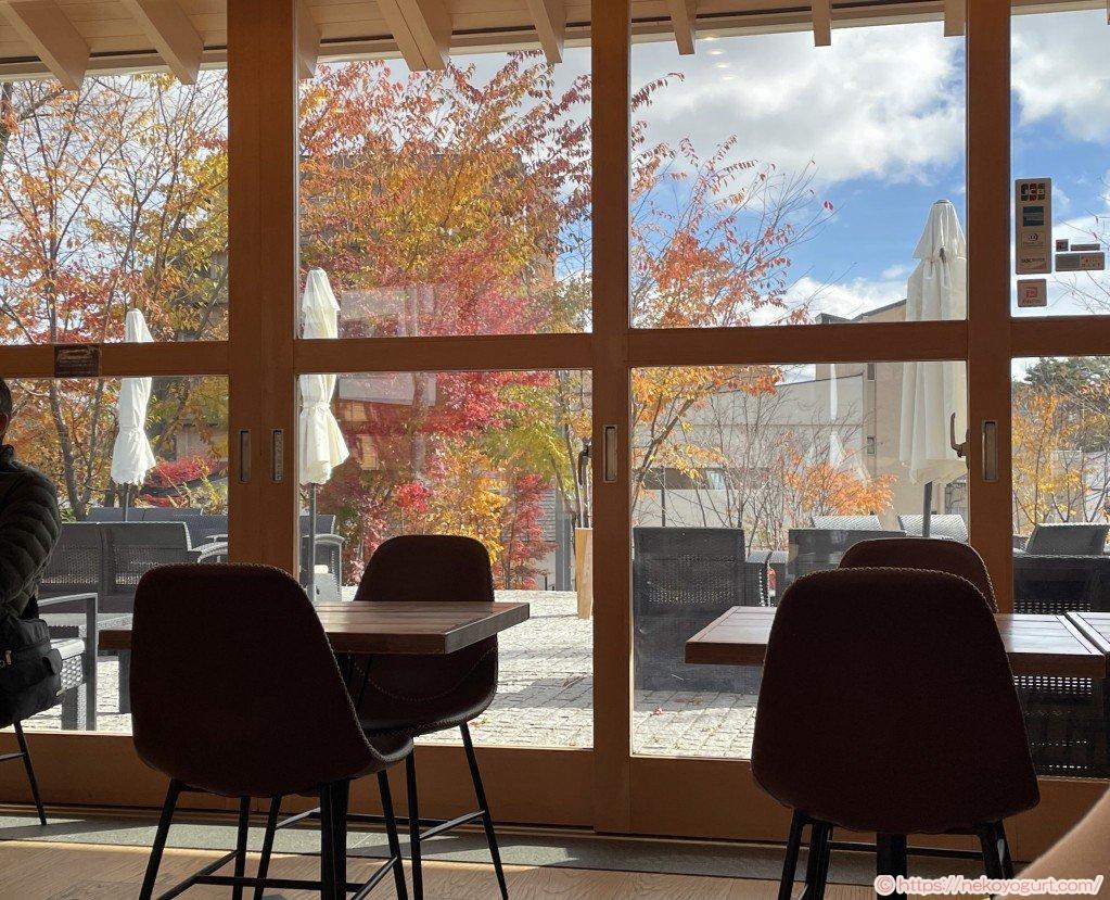 2025年11月群馬・草津温泉旅行