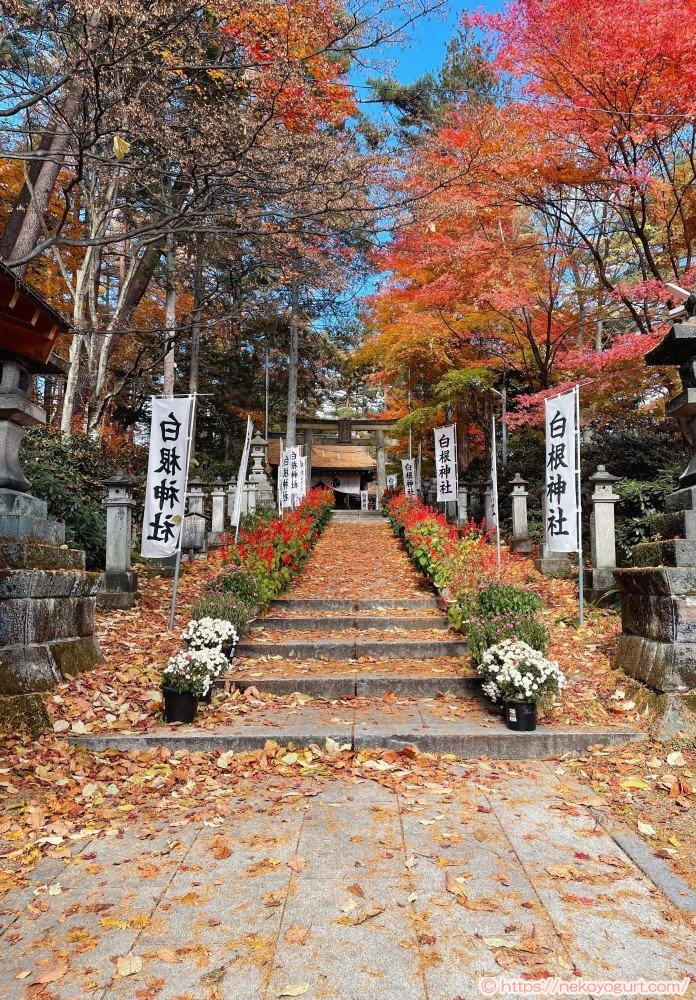 2025年11月群馬・草津温泉旅行